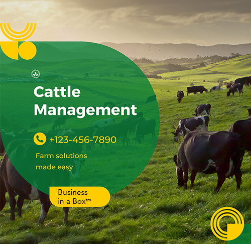Cattle Management